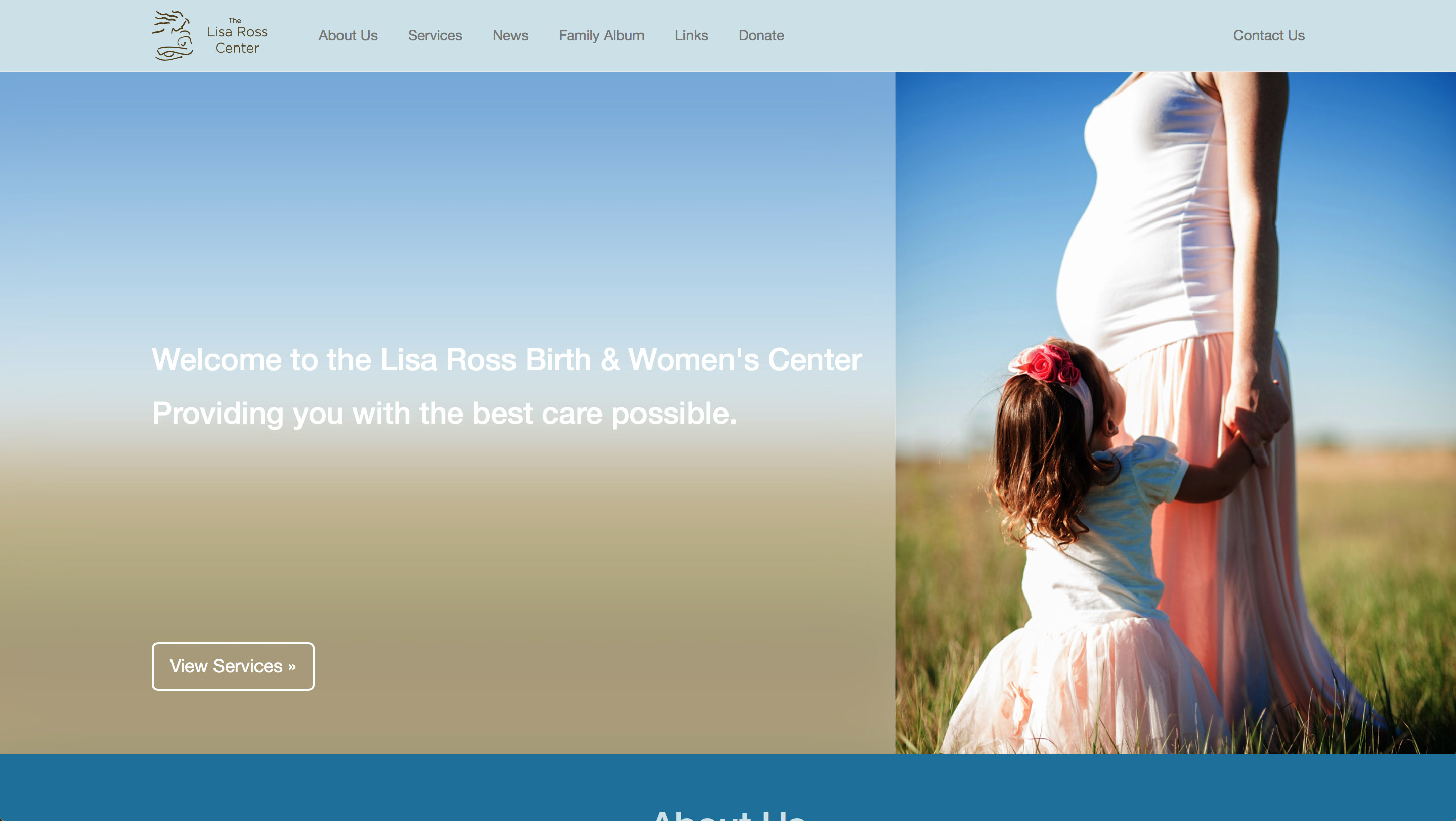 Lisa Ross Site Preview Image